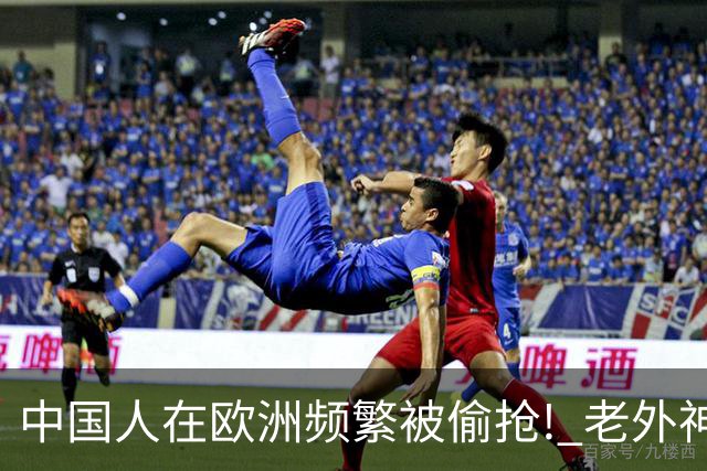 中国人在欧洲频繁被偷抢! 老外神吐槽: 中国人是没见过天敌的渡渡鸟