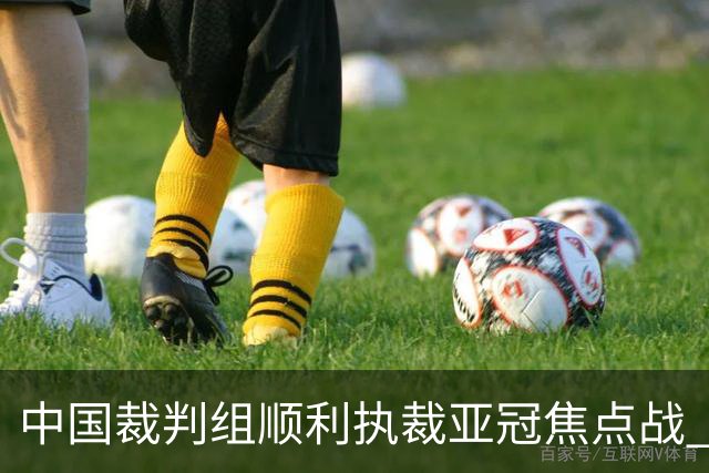 中国裁判组顺利执裁亚冠焦点战 马宁等人返程方案仍待协商