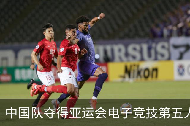 中国队夺得亚运会电子竞技第五人格金牌