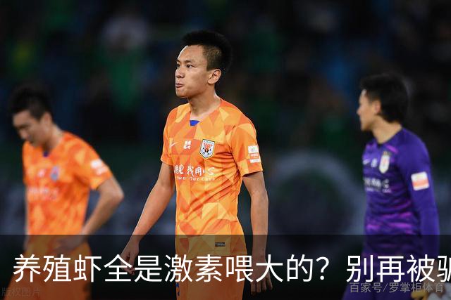 养殖虾全是激素喂大的？别再被骗了！真相让无数人傻眼