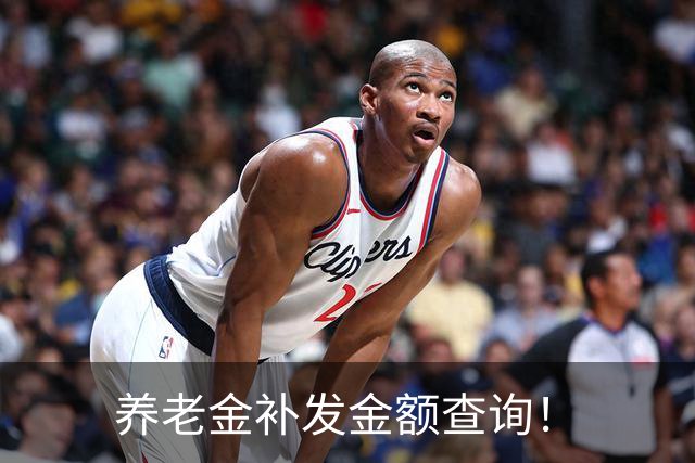 养老金补发金额查询！