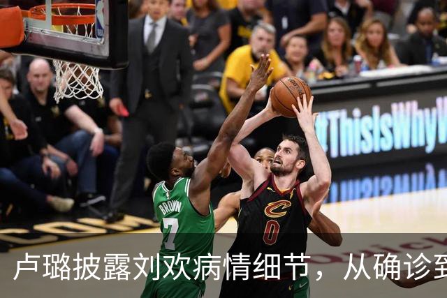 卢璐披露刘欢病情细节，从确诊到离世，跟骨病苦熬了整整17个年头