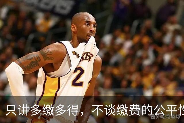 只讲多缴多得，不谈缴费的公平性和缴费资金来源就是耍流氓。