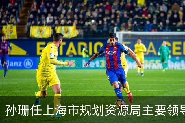 孙珊任上海市规划资源局主要领导