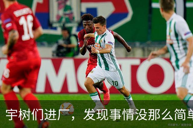 宇树们进厂，发现事情没那么简单