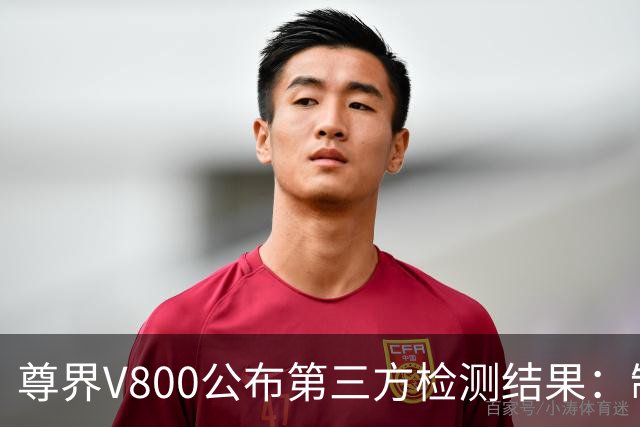 尊界V800公布第三方检测结果：制动踏板未出现损坏