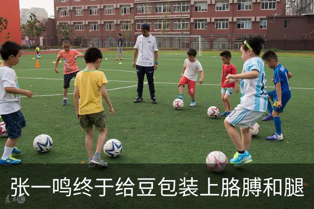张一鸣终于给豆包装上胳膊和腿