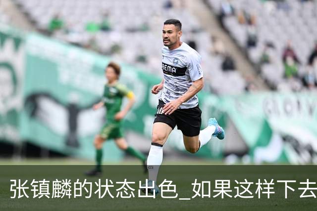 张镇麟的状态出色 如果这样下去 他肯定要入选新一届中国男篮阵容