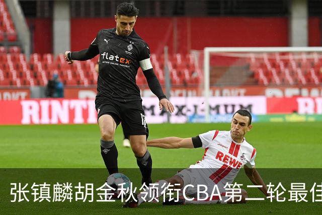 张镇麟胡金秋领衔CBA第二轮最佳阵容 付豪篮板称王