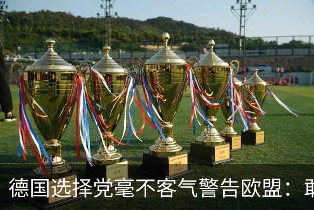 德国选择党毫不客气警告欧盟：敢拒绝我们的提议，后果将十分严重