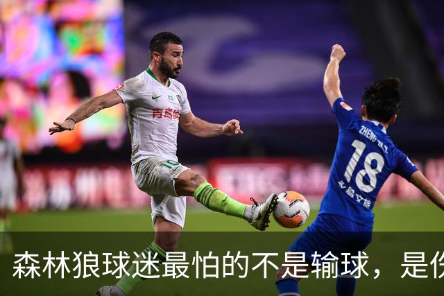 森林狼球迷最怕的不是输球，是伤病：一次投票投出了真心话