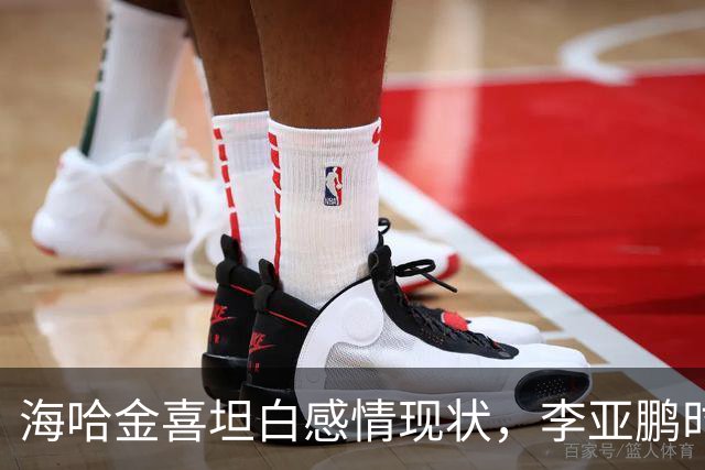 海哈金喜坦白感情现状，李亚鹏时常出现生活中，自己不是单亲妈妈