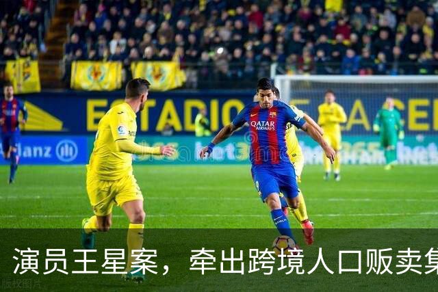 演员王星案，牵出跨境人口贩卖集团：一个人价格10万甚至20万，价格高低主要取决于学历、打字速度