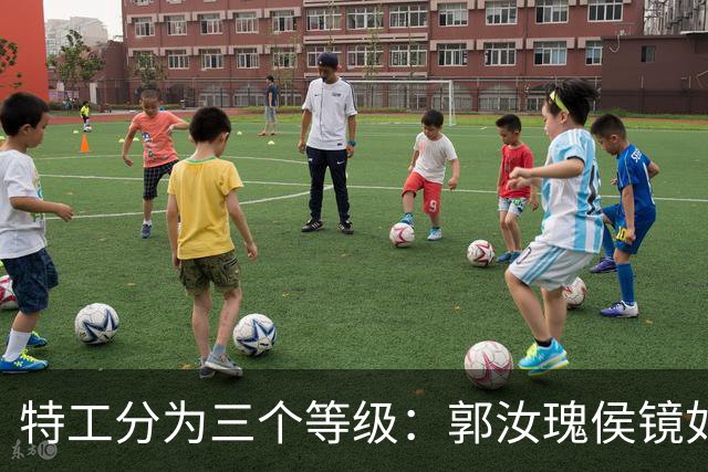 特工分为三个等级：郭汝瑰侯镜如属战略特工，吴敬中余则是哪个等级？
