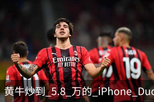 黄牛炒到 5.8 万的 iPhone Duo，为什么一夜之间就崩了？