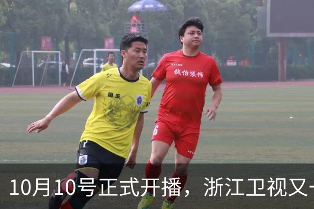 10月10号正式开播，浙江卫视又一部好剧来袭，女主人设超给力