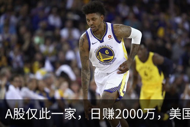 A股仅此一家，日赚2000万，美国高盛、北向、养老金重仓锁死，起飞在即？