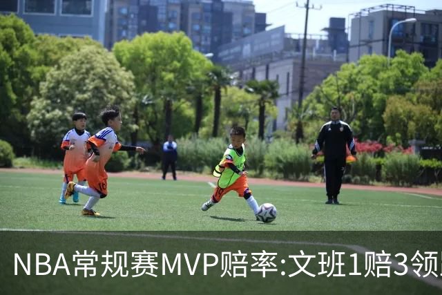 NBA常规赛MVP赔率:文班1赔3领跑 SGA东契奇紧追